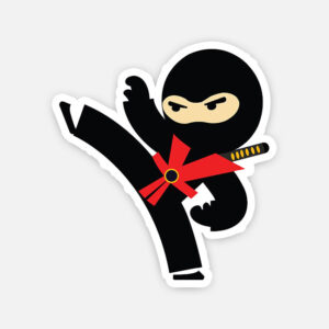 Ninja fighter