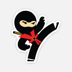 Ninja fighter