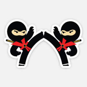 Two ninja fighters