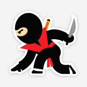 Ninja fighter