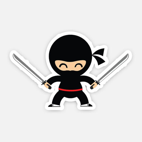 Ninja fighter